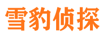 江川市婚姻调查